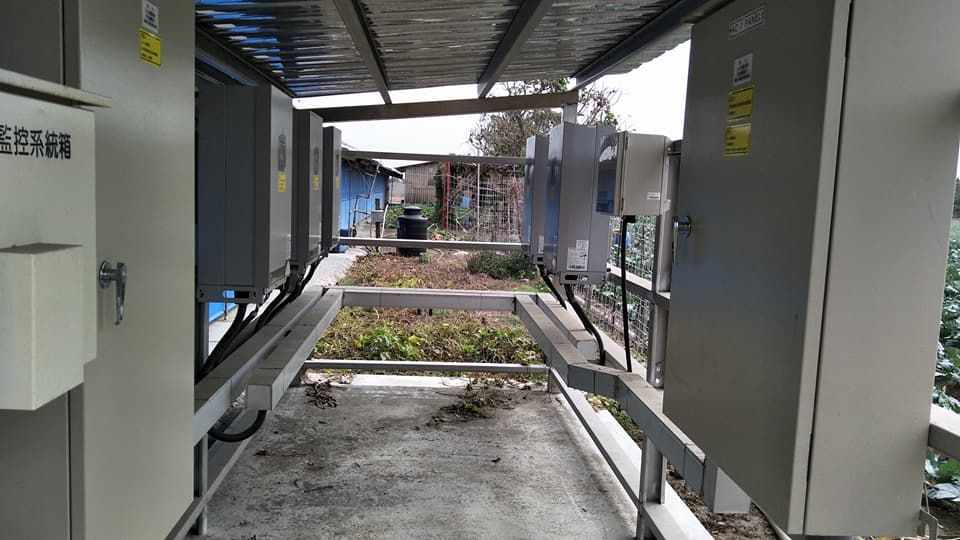 畜舍屋頂型太陽光電躉售系統-完工 (3).jpg