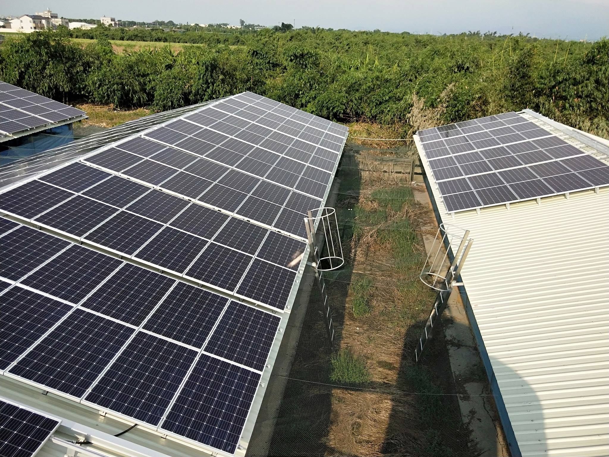畜舍屋頂型太陽光電躉售系統-完工 (3).jpg