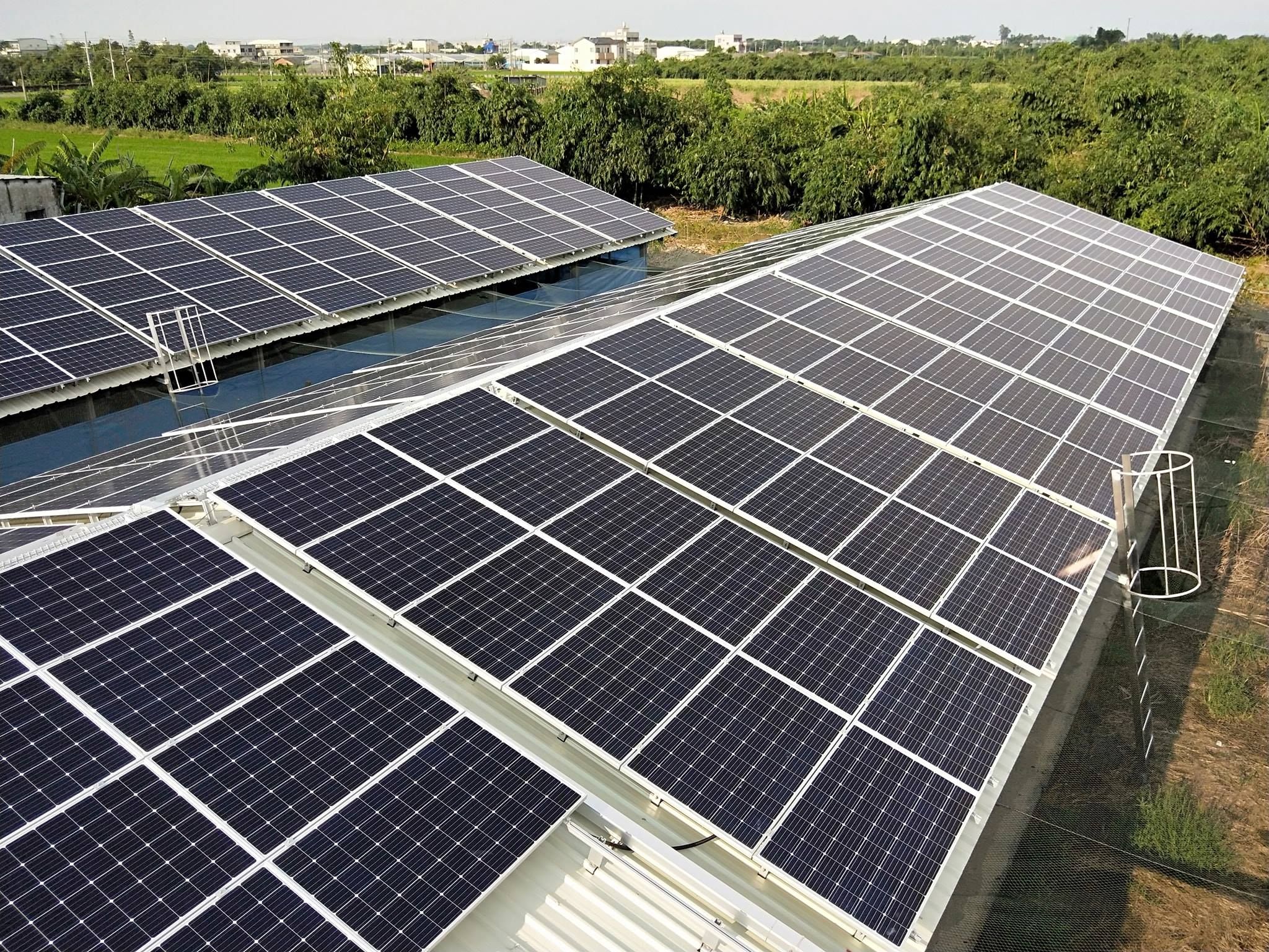 畜舍屋頂型太陽光電躉售系統-完工.jpg