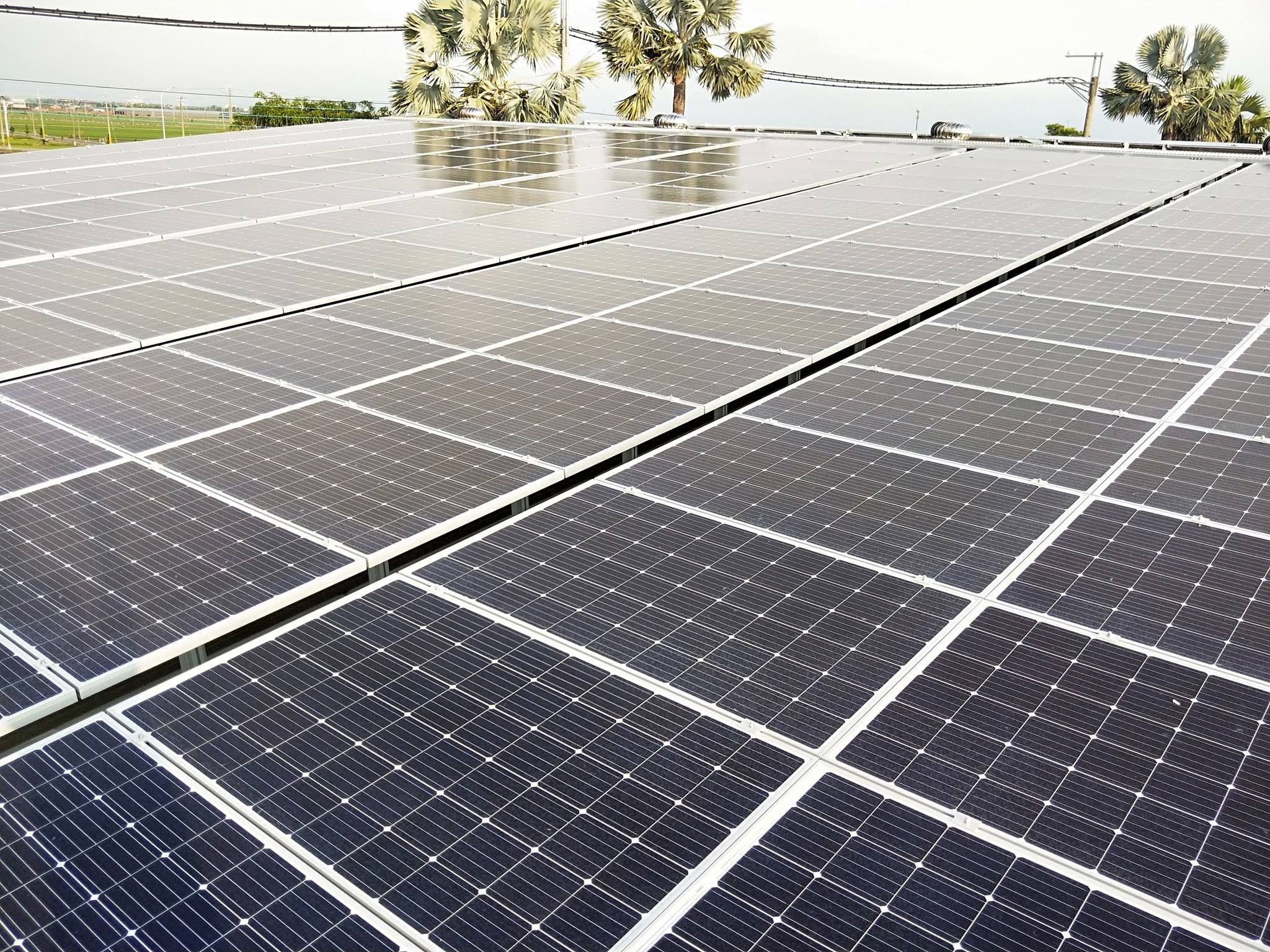 畜舍屋頂型太陽光電躉售系統-完工 (3).jpg