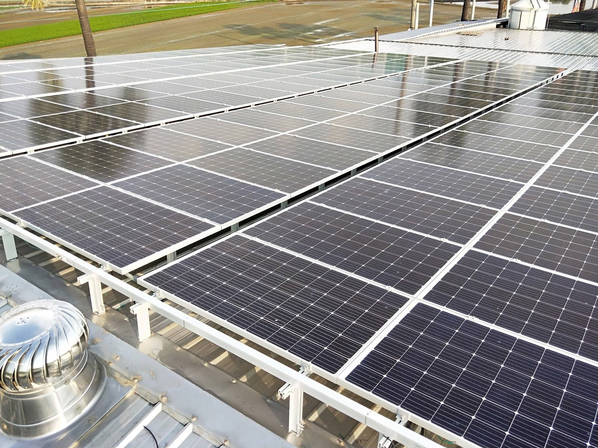 畜舍屋頂型太陽光電躉售系統-完工 (4).jpg