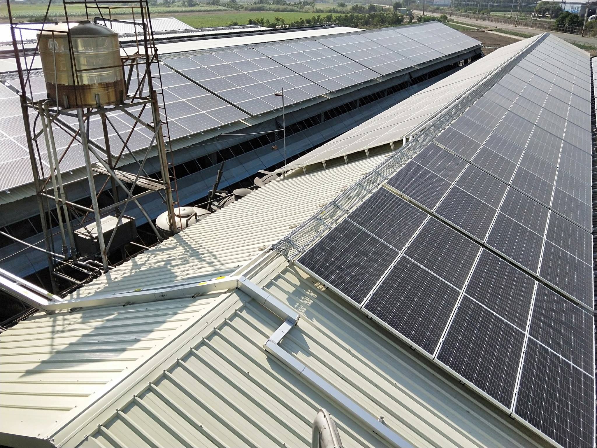 畜舍屋頂型太陽光電躉售系統-完工 (2).jpg