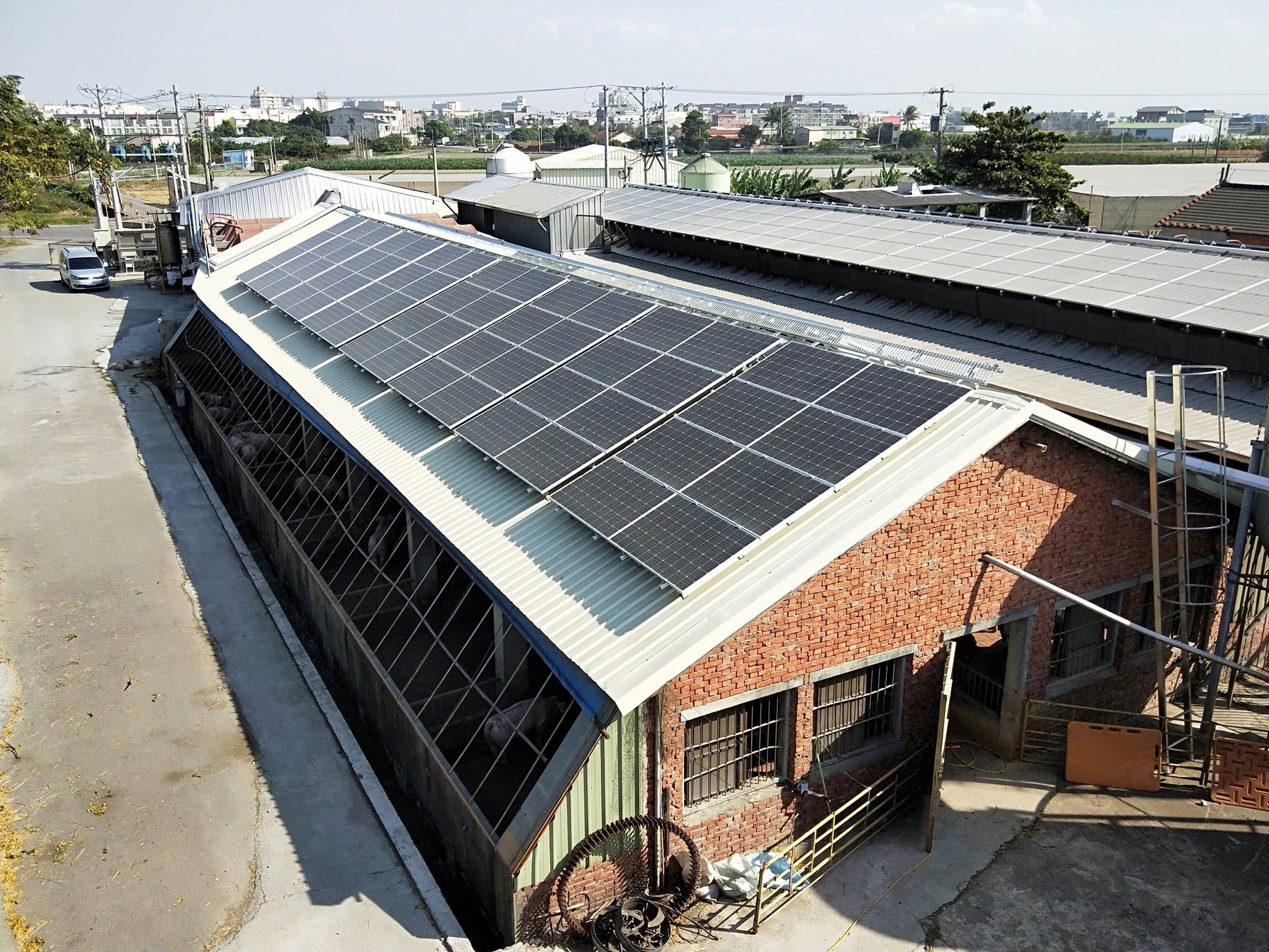 畜舍屋頂型太陽光電躉售系統-完工 (4).jpg