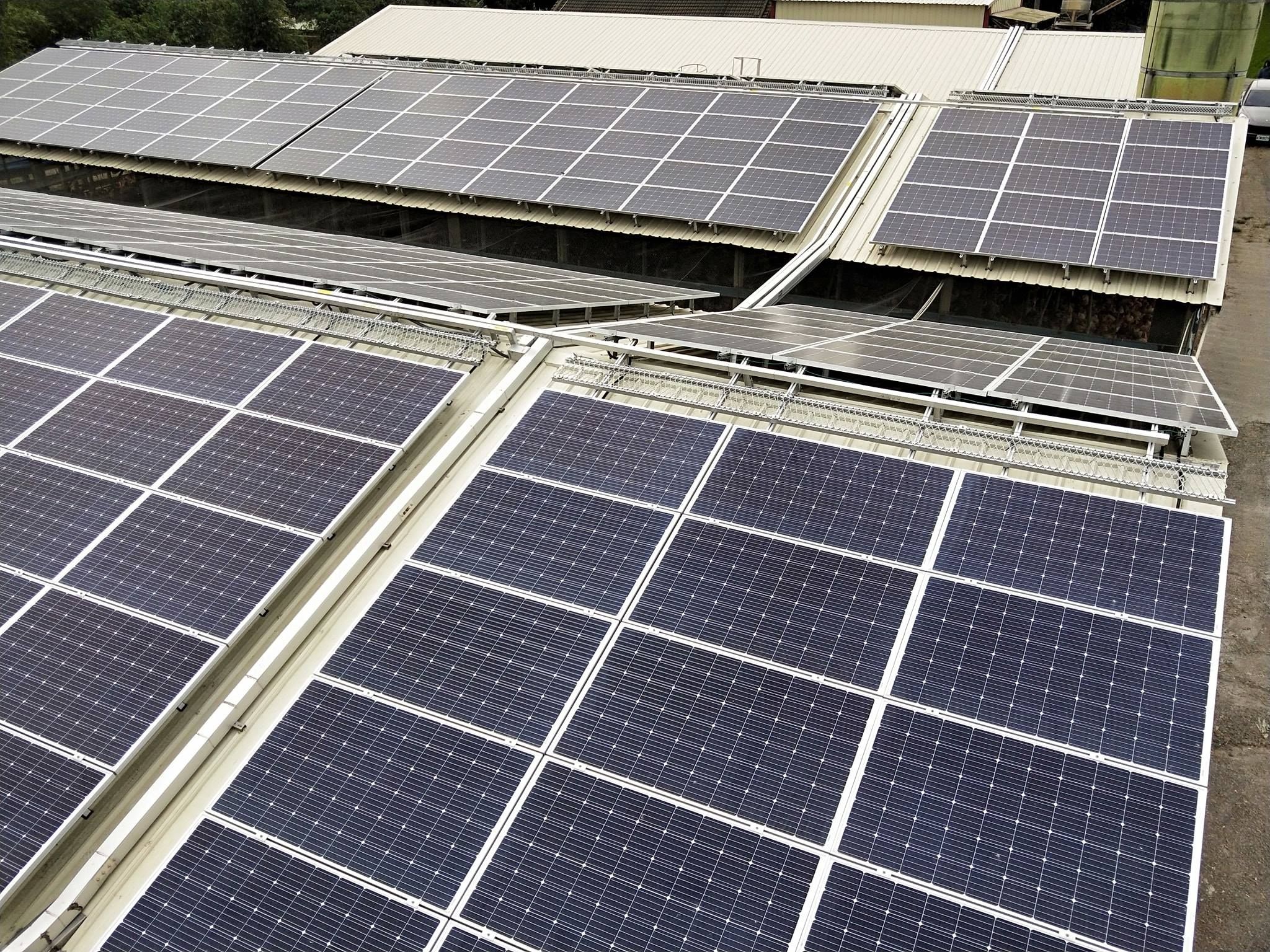 畜舍屋頂型太陽光電躉售系統-完工 (2).jpg