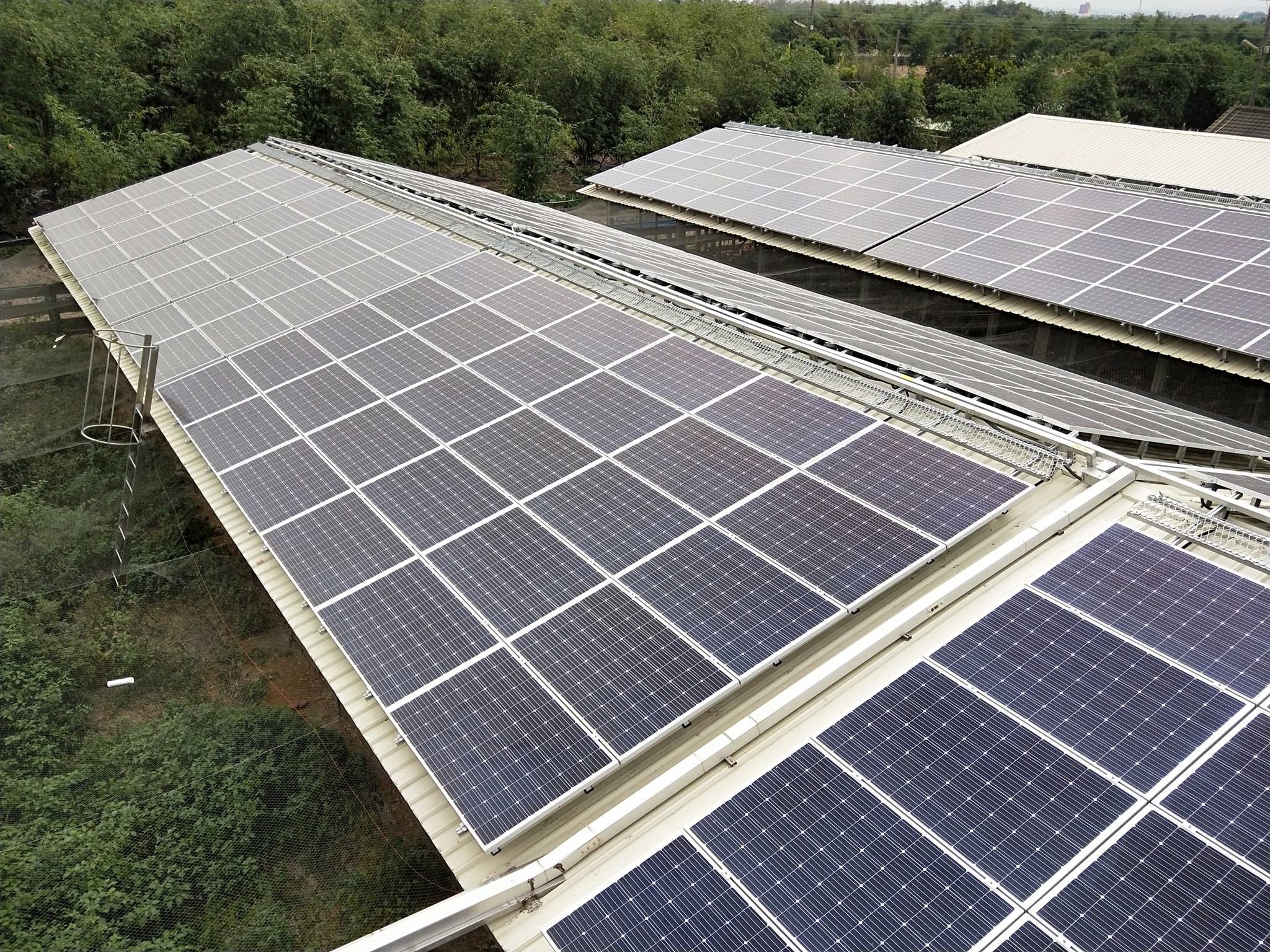 畜舍屋頂型太陽光電躉售系統-完工.jpg