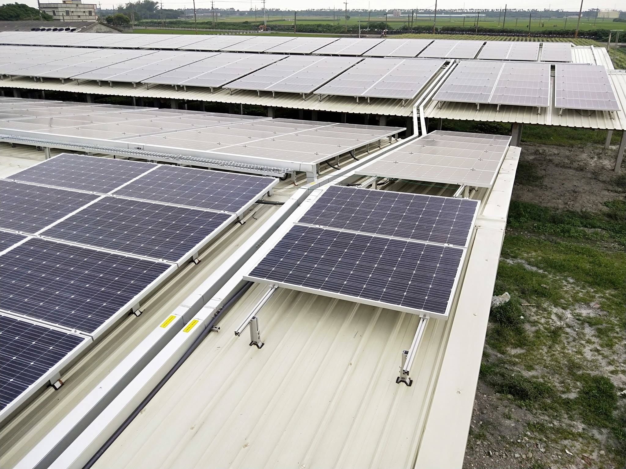 畜舍屋頂型太陽光電躉售系統-完工 (4).jpg