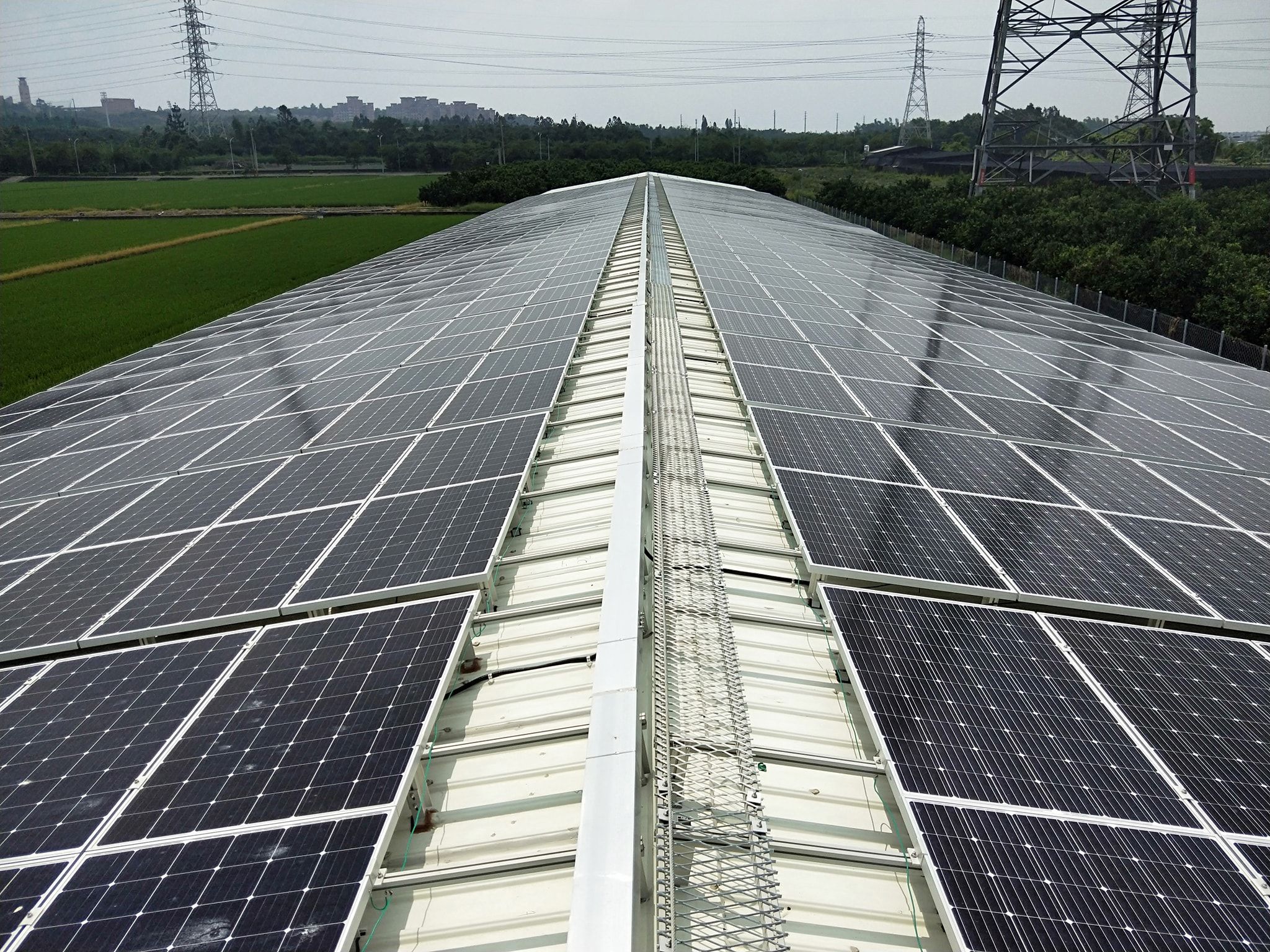 畜舍屋頂型太陽光電躉售系統-完工 (2).jpg