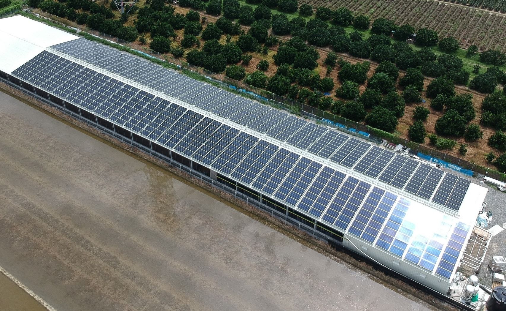 畜舍屋頂型太陽光電躉售系統-完工.jpg