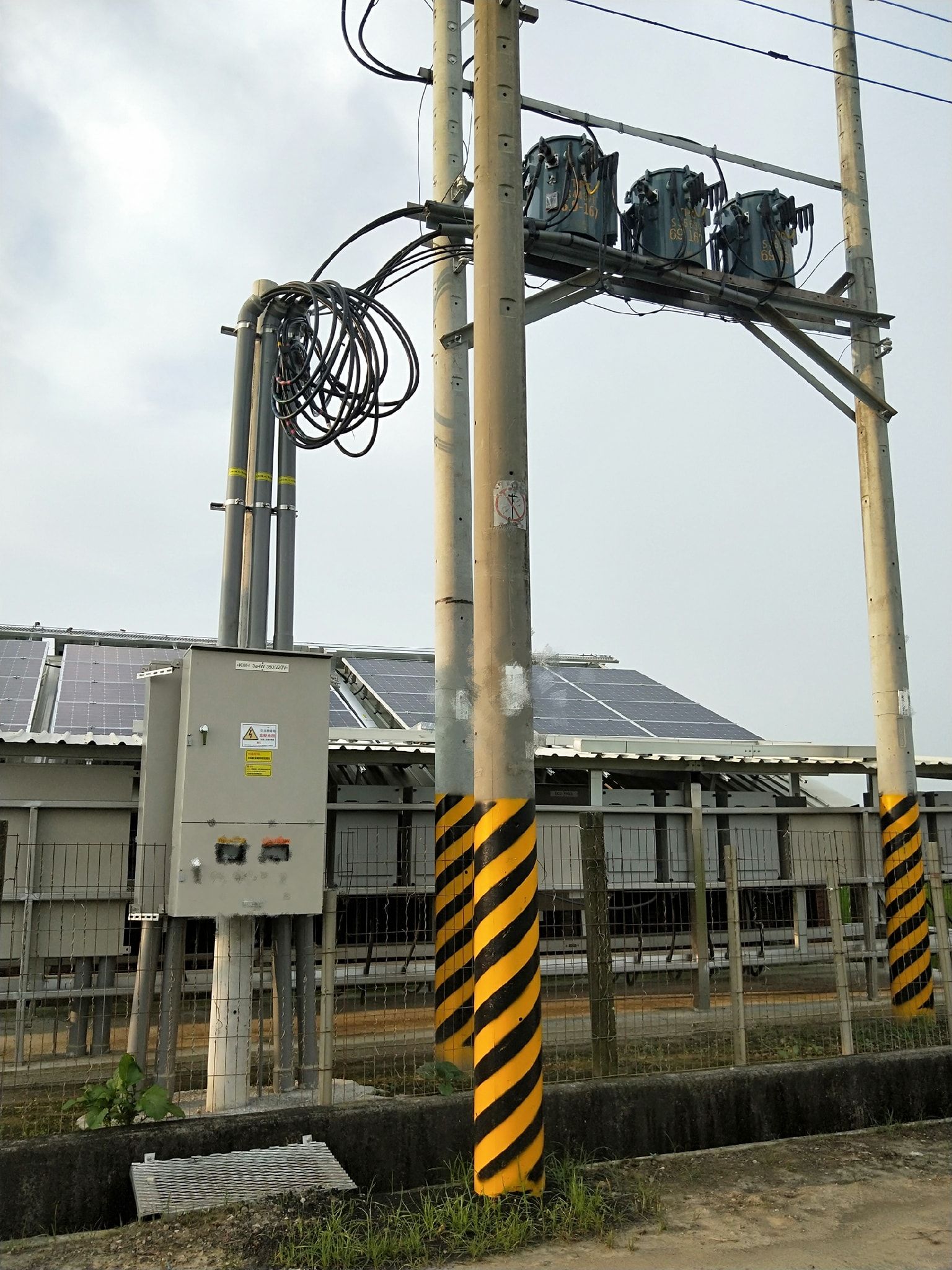 畜舍屋頂型太陽光電躉售系統-完工 (4).jpg