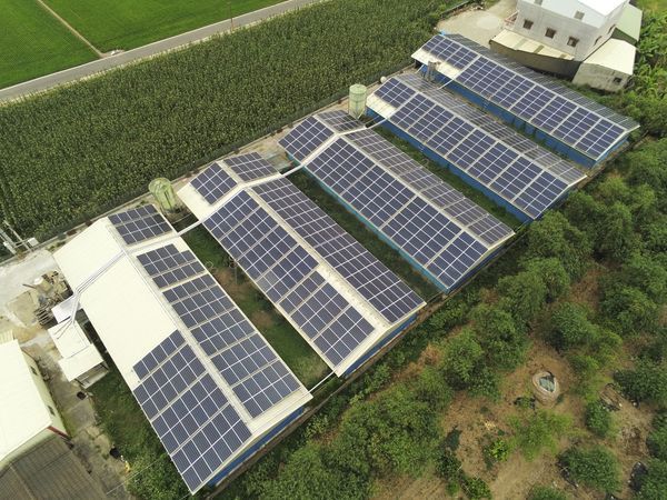 畜舍屋頂型太陽光電躉售系統-完工.jpg