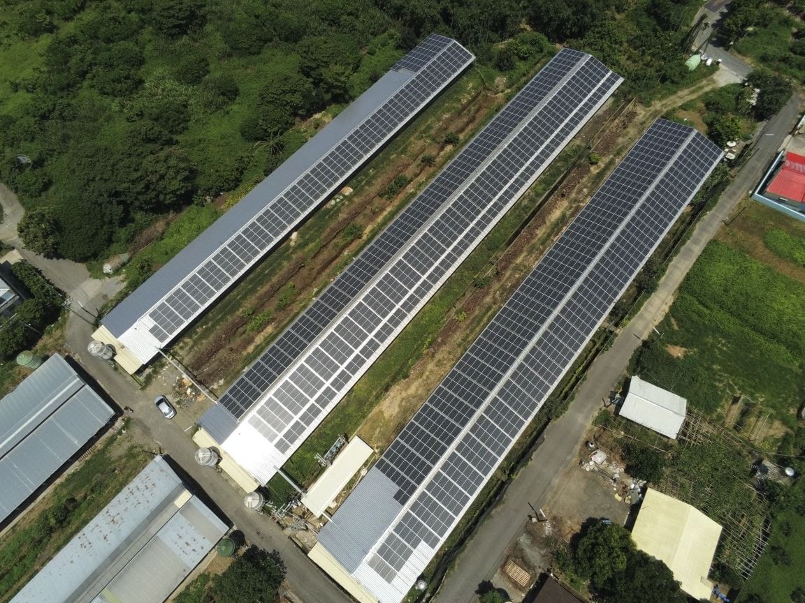 畜舍屋頂型太陽光電躉售系統-完工.jpg