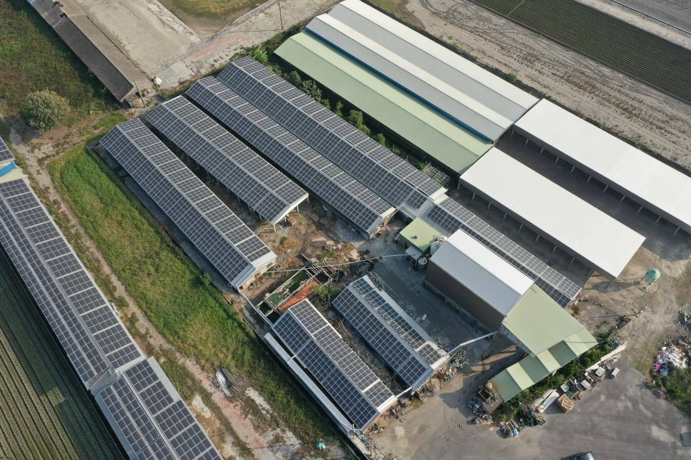 畜舍屋頂型太陽光電躉售系統-完工.jpg