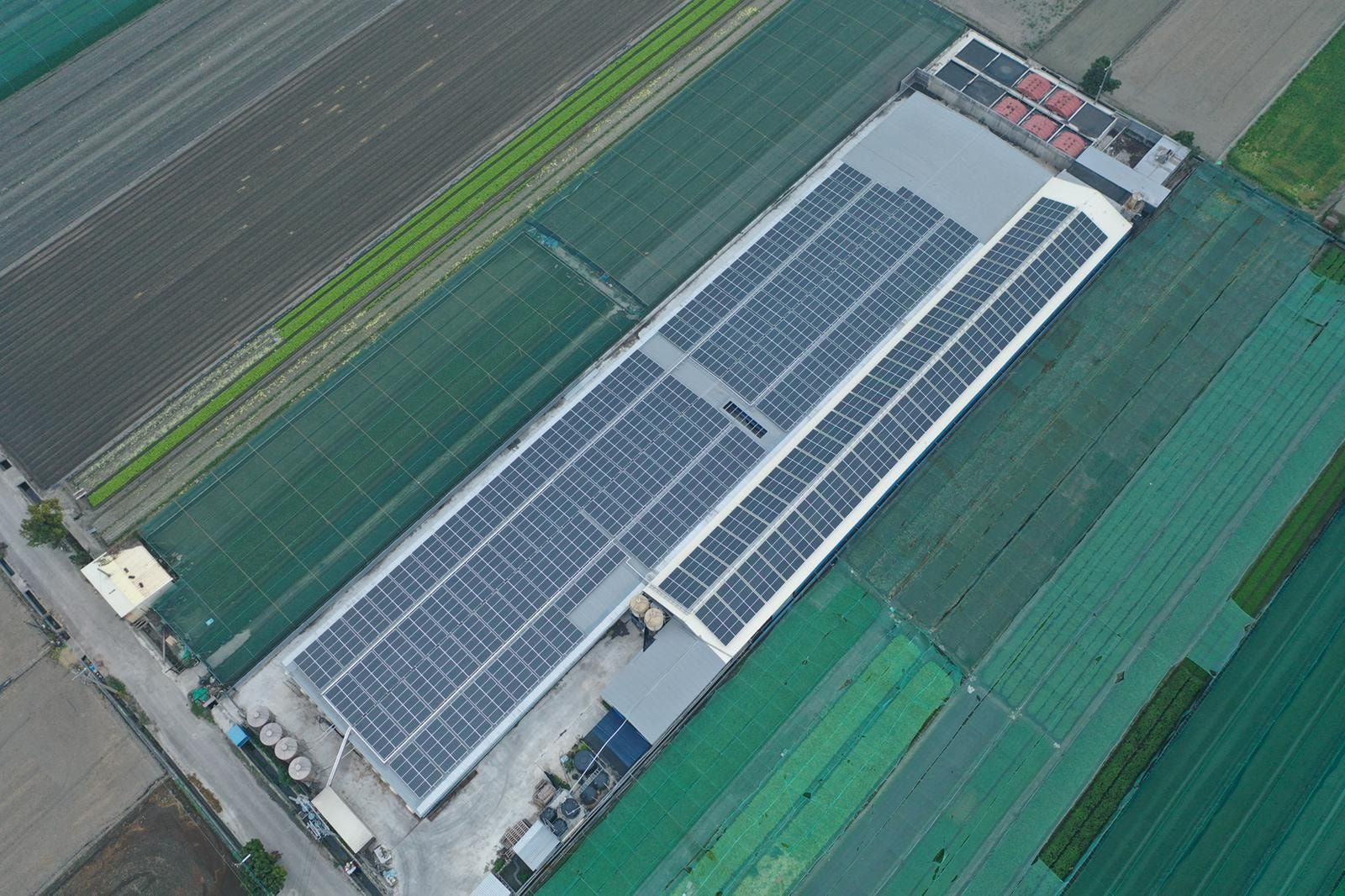 畜舍屋頂型太陽光電躉售系統-完工.jpg