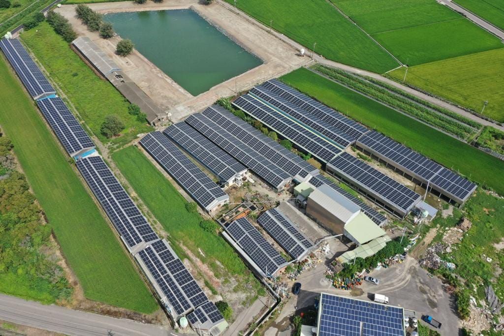 畜舍屋頂型太陽光電躉售系統-完工 (2).jpg