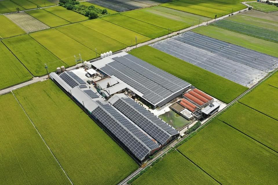 畜舍屋頂型太陽光電躉售系統-完工.jpg