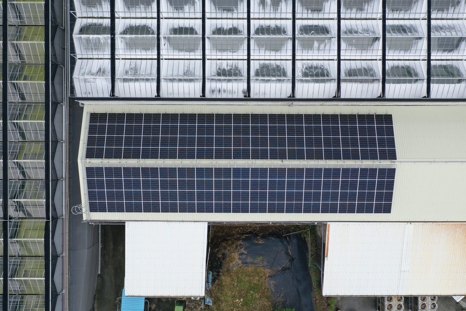 溫室屋頂型太陽光電躉售系統-完工 20240921.jpg