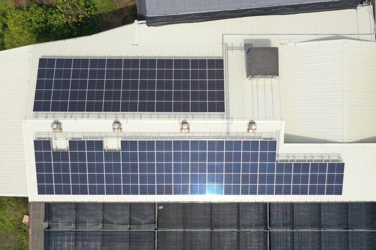 溫室屋頂型太陽光電躉售系統-完工-20250228-2.jpg