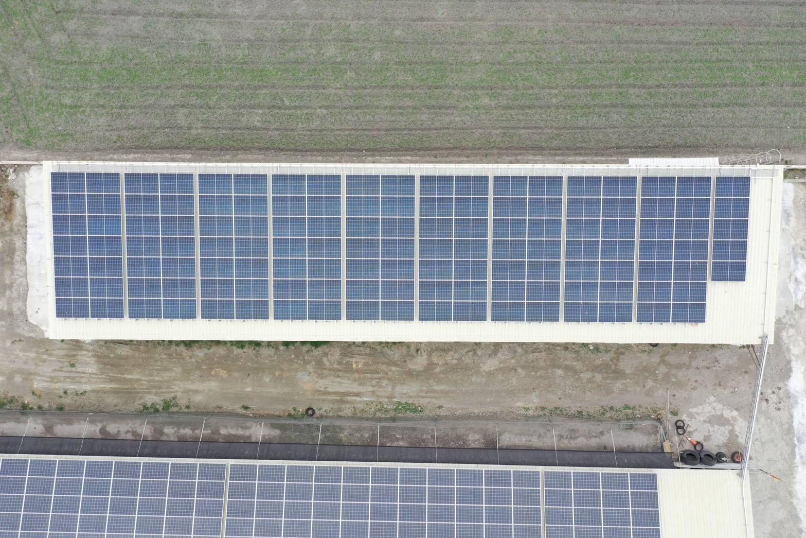 農用設施屋頂型太陽光電躉售系統-完工-20250526-2.jpg