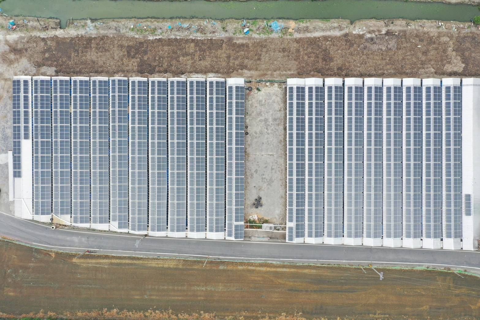 畜舍屋頂型太陽光電躉售系統-完工-20250526-2.jpg
